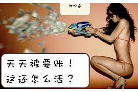 云南昆明女子讨债：维权之路的艰辛与启示