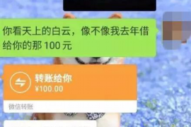 催收正常债务怎么办理：全面指南与案例分析