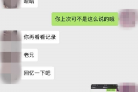 政府部门被催收骚扰：现象解析与应对策略