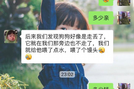 最吓人的讨债人：揭秘债务催收背后的故事