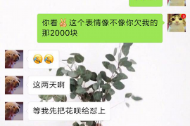 网贷怎么催收老赖：高效策略与法律途径