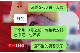 黄瓜急用贷款催收：应对紧急资金需求的解决方案