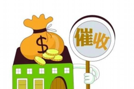 翼支付众安保险催收：揭秘金融科技与保险行业的合作新模式