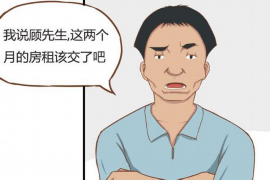 多宝鱼网贷催收：揭秘网贷行业的痛点与应对策略