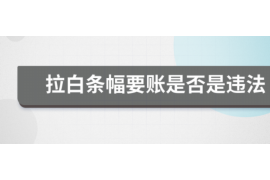 贷款恶意催收举报：维权之路与法律支持