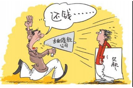 龙华清数公司：数据清洗领域的专业力量