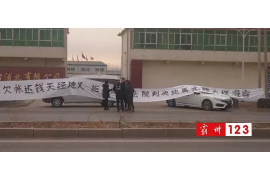 催收投诉案件怎么写报告