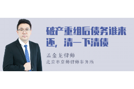 催收案件中的“抢案”：揭秘金融纠纷背后的法律挑战